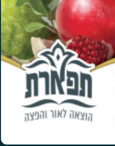 צילום מסך 2022-07-04 ב-23.58.39.png