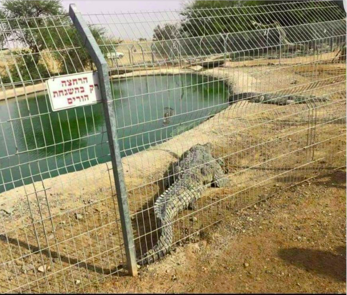 צילום מסך 2022-08-01 003708.png