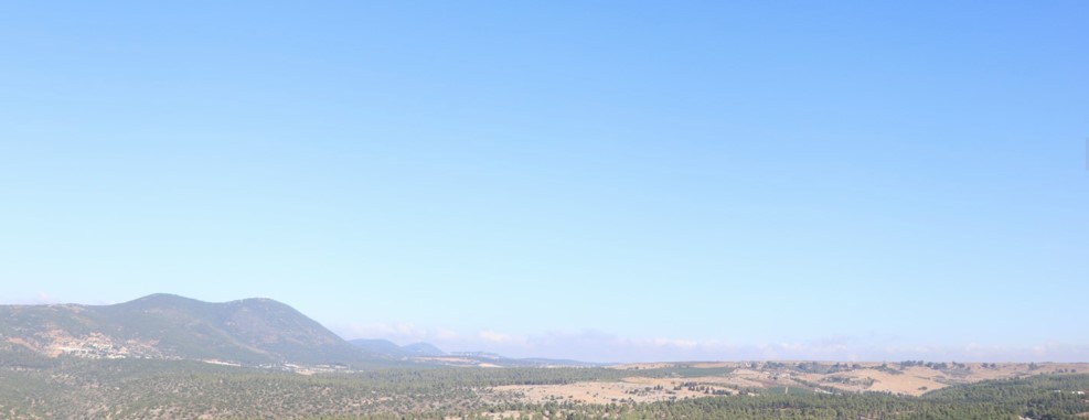 צילום מסך 2022-08-14 002917.jpg