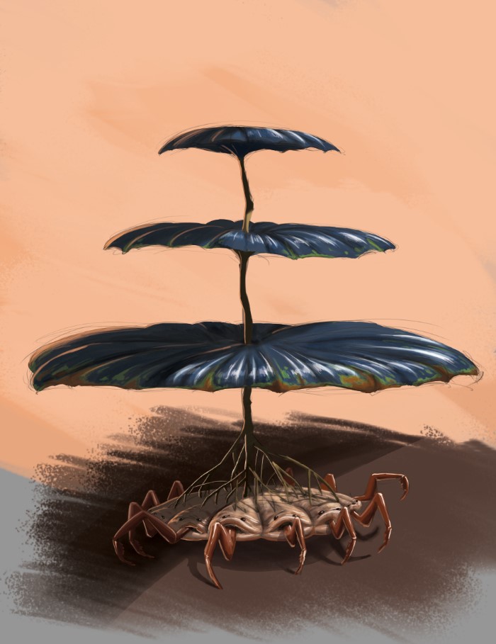 צילום מסך 2022-09-06 104503.jpg