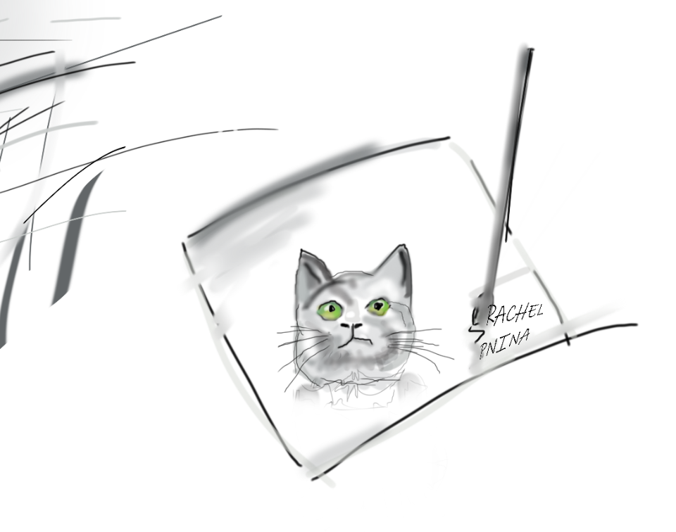 צילום מסך 2022-10-13 223825.png