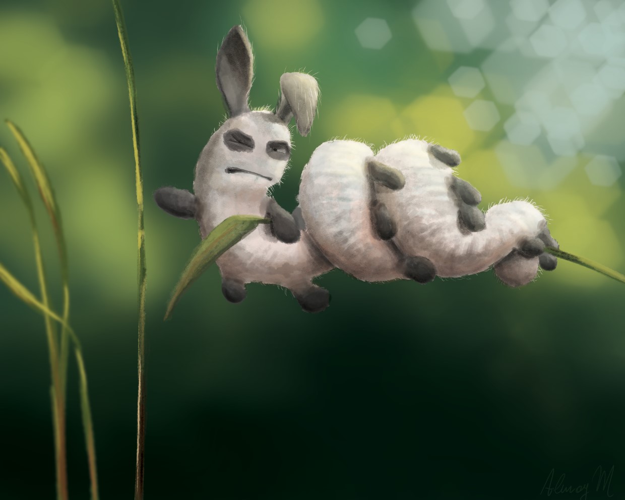 צילום מסך 2022-10-26 202833.jpg