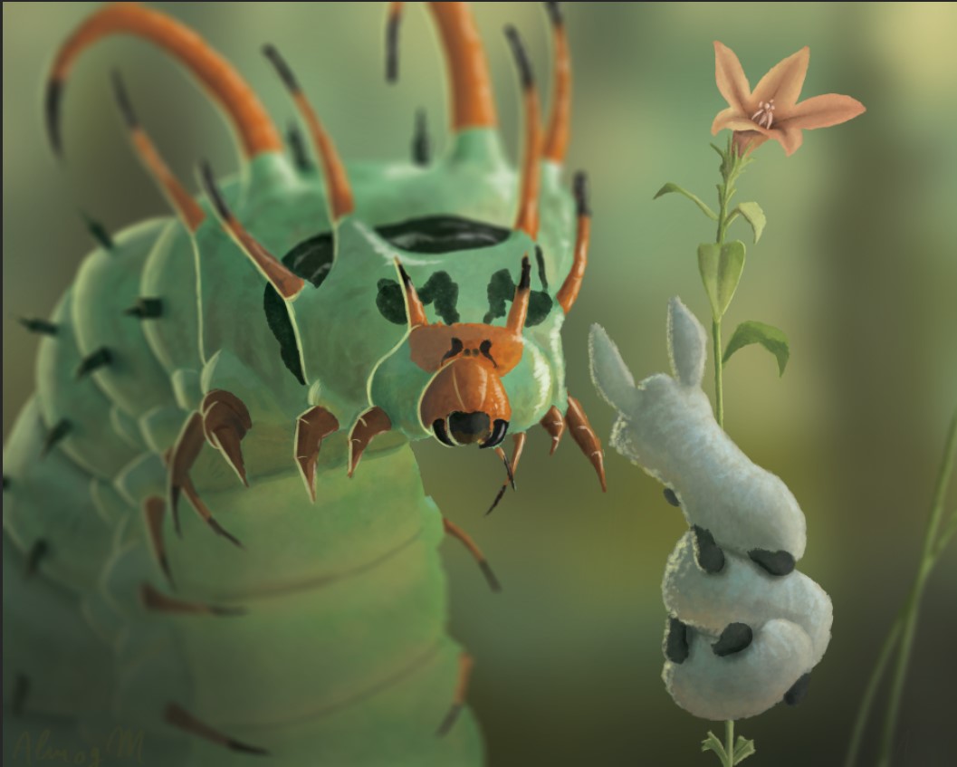 צילום מסך 2022-10-31 212920.jpg