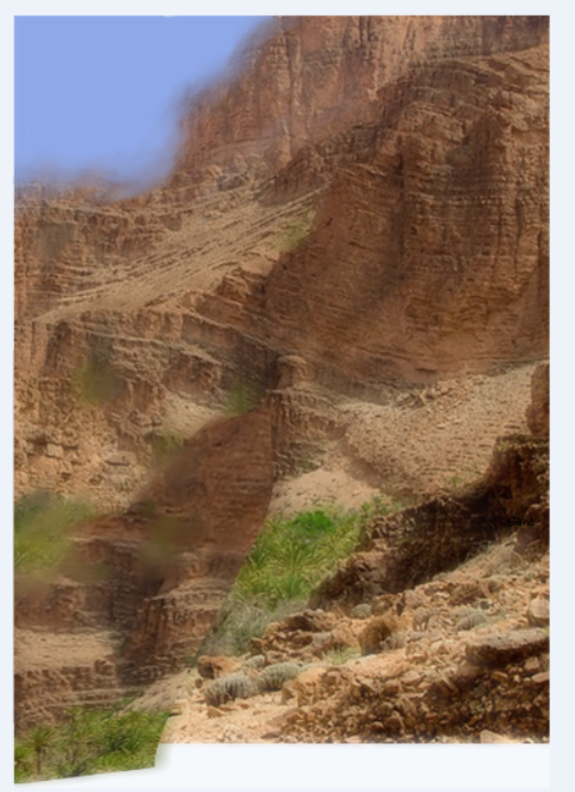 צילום מסך 2022-12-18 040108.png