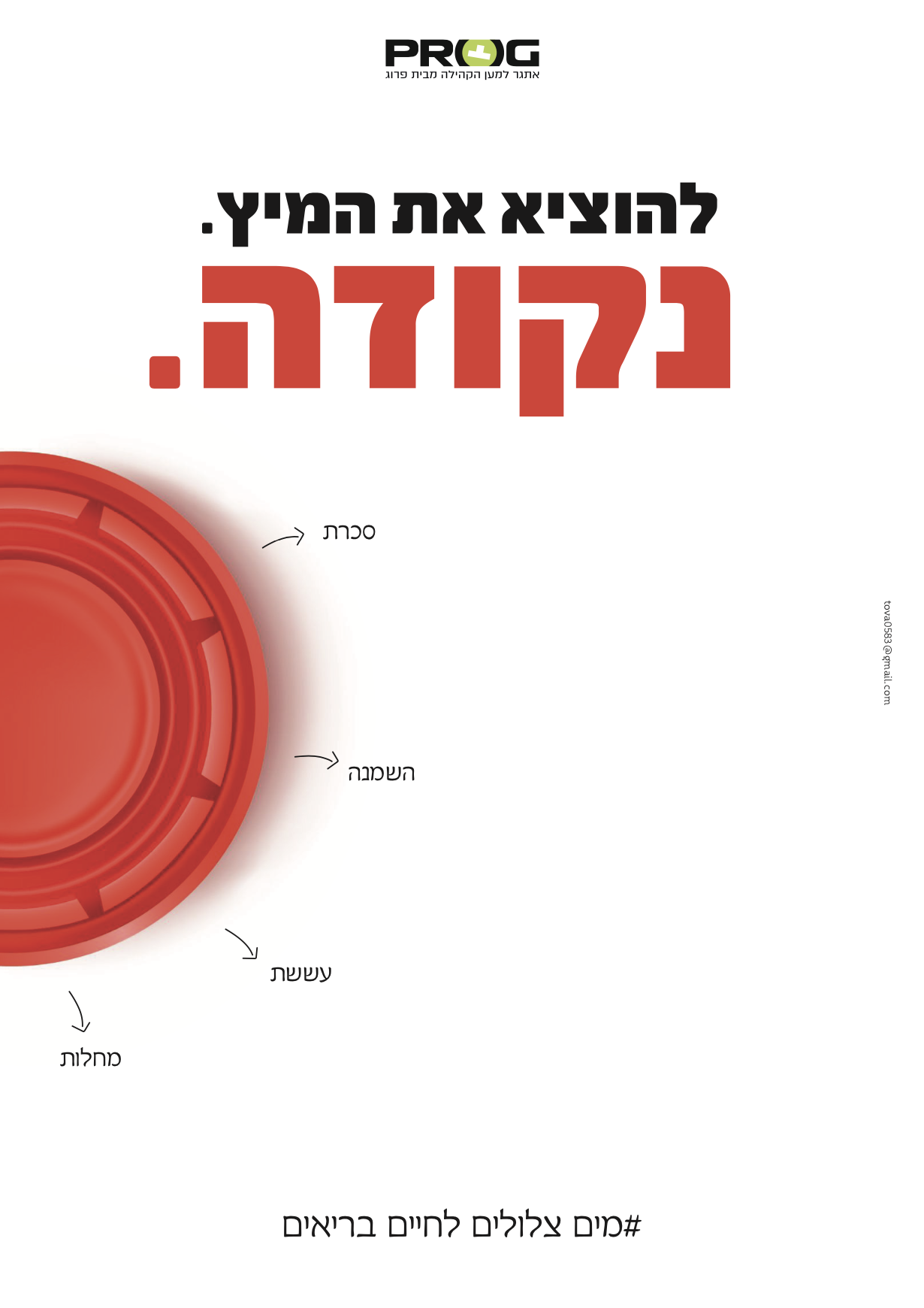 צילום מסך 2023-02-03 ב-2.31.32.png