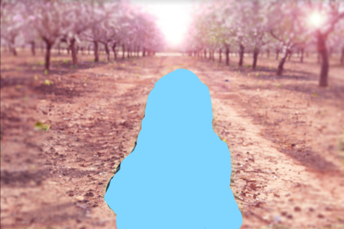 צילום מסך 2023-02-26 201057.png