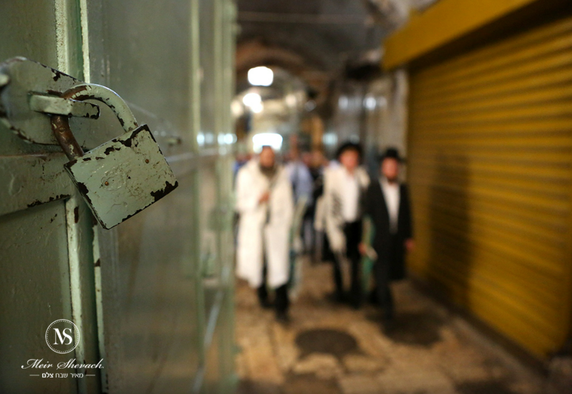 צילום מסך 2023-03-11 220846.png