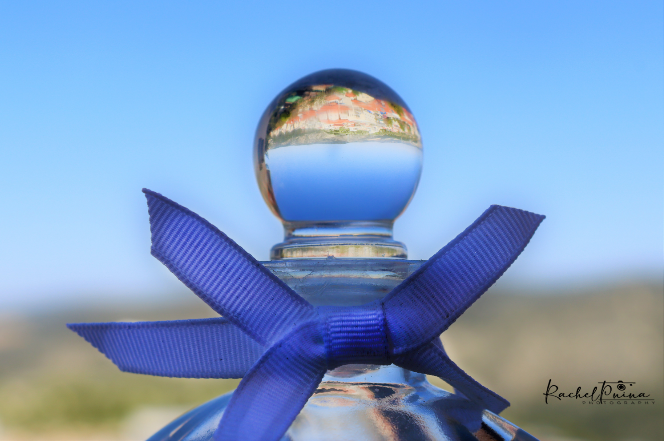 צילום מסך 2023-03-17 132254.png