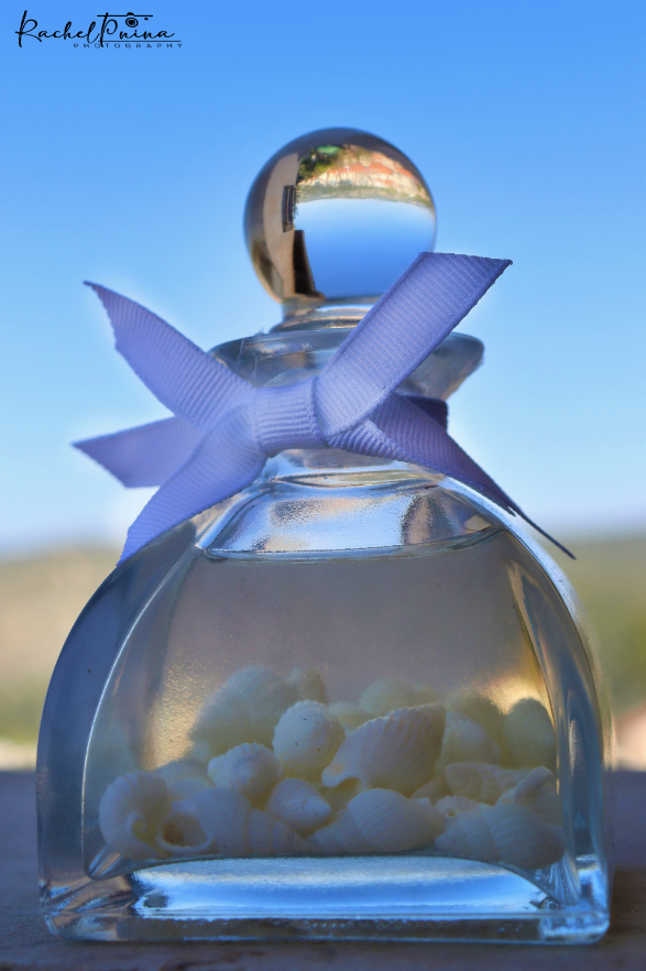 צילום מסך 2023-03-17 132343.png