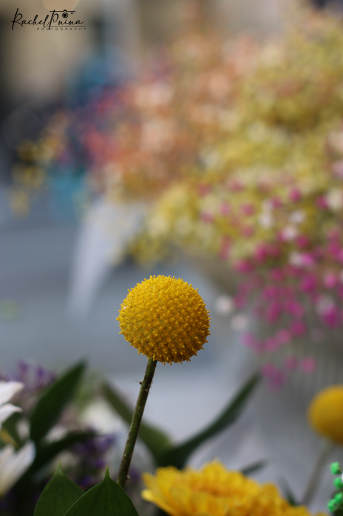 צילום מסך 2023-05-05 003708.png