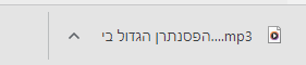 צילום מסך 2023-05-06 214911.png