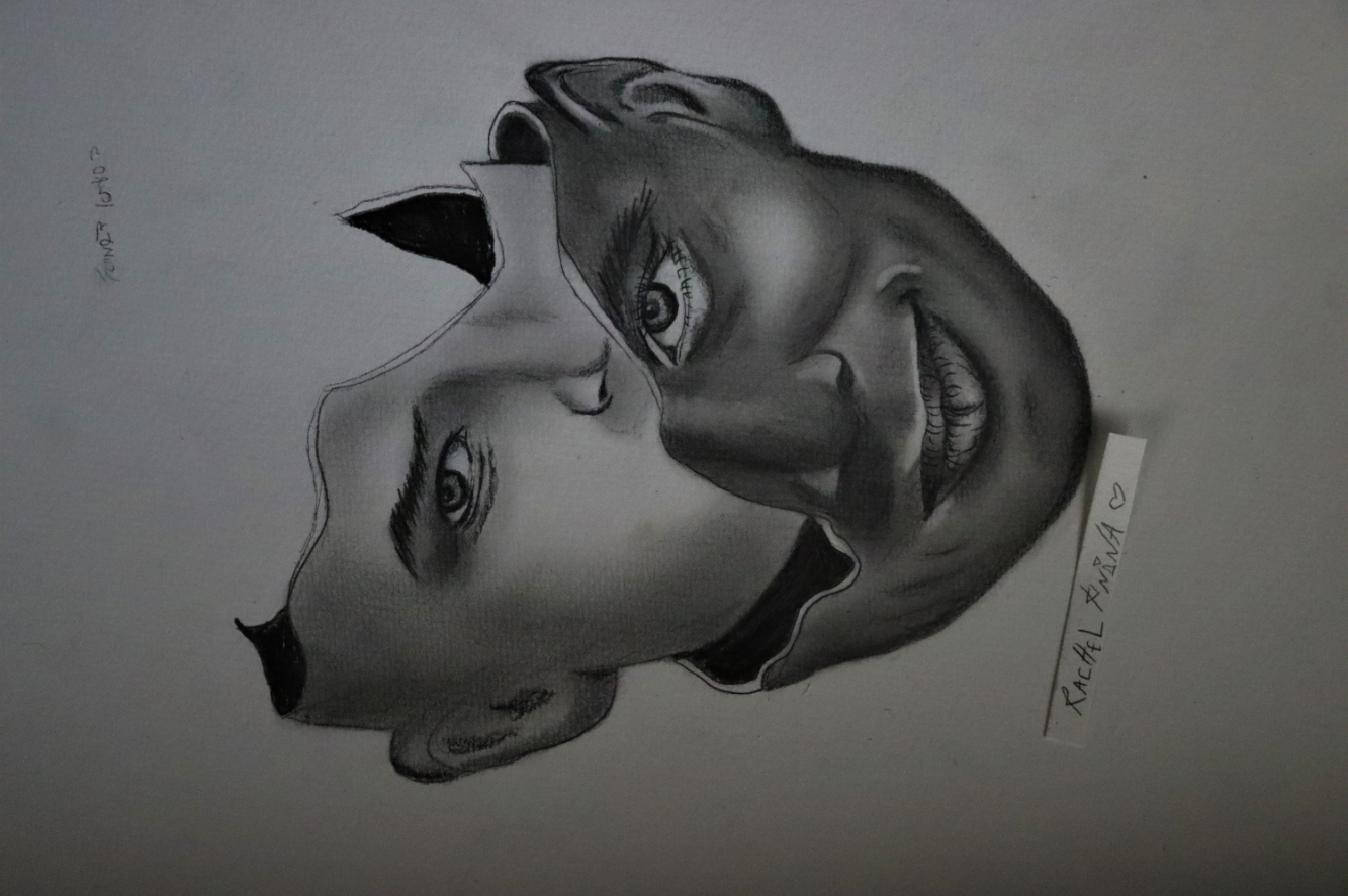 צילום מסך 2023-05-07 024404.png