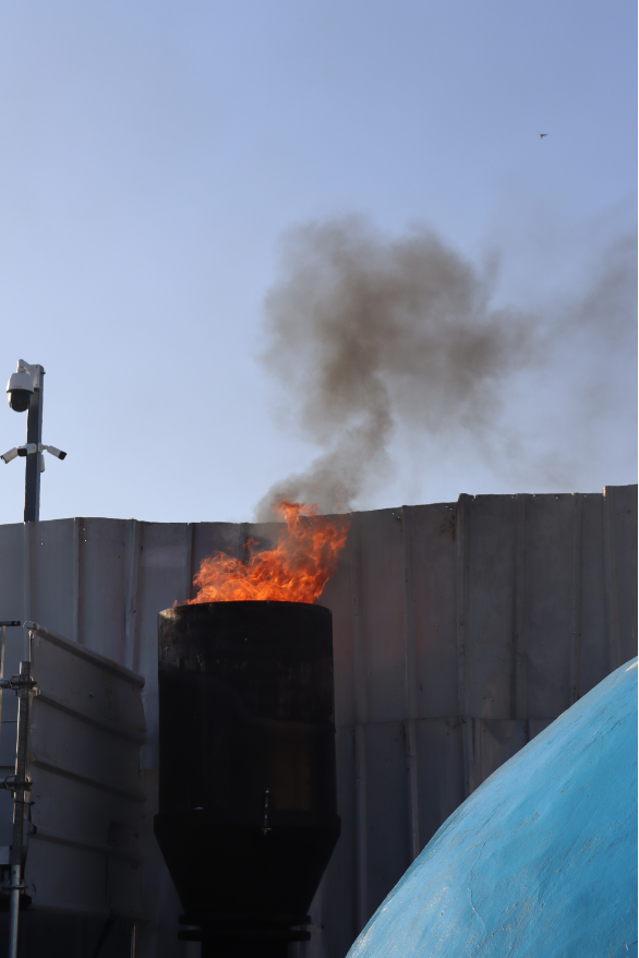 צילום מסך 2023-05-10 153144.png