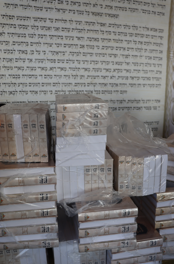 צילום מסך 2023-05-10 153206.png