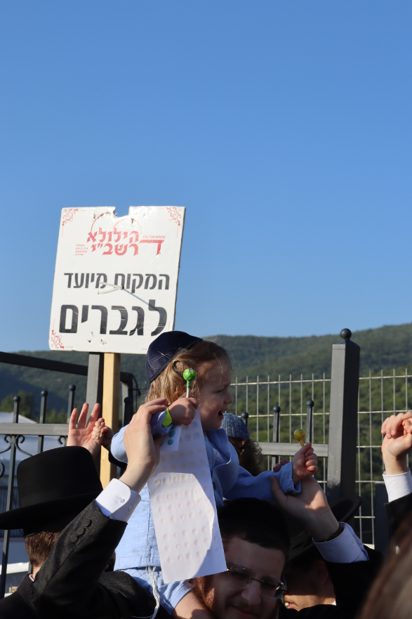 צילום מסך 2023-05-10 153234.png