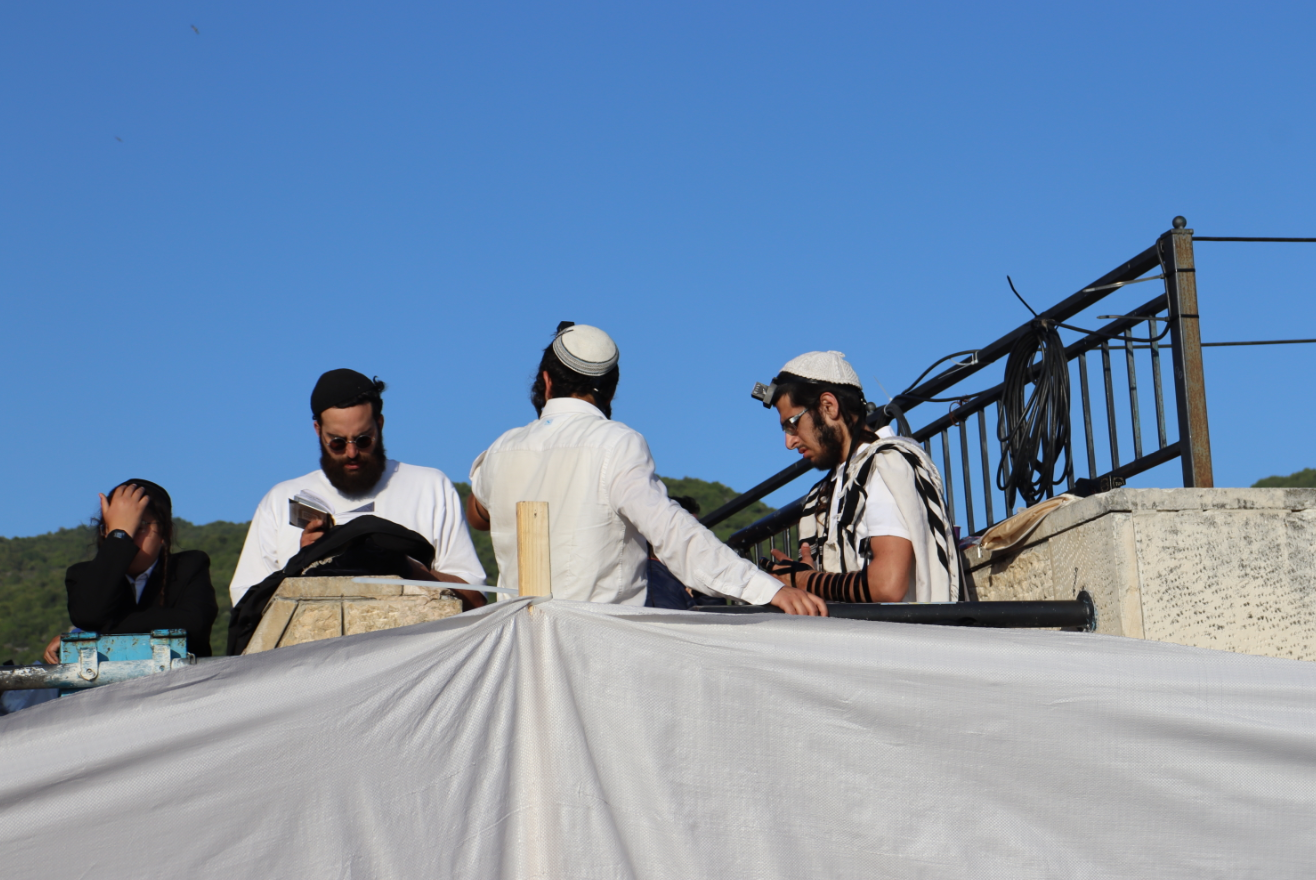 צילום מסך 2023-05-10 153248.png