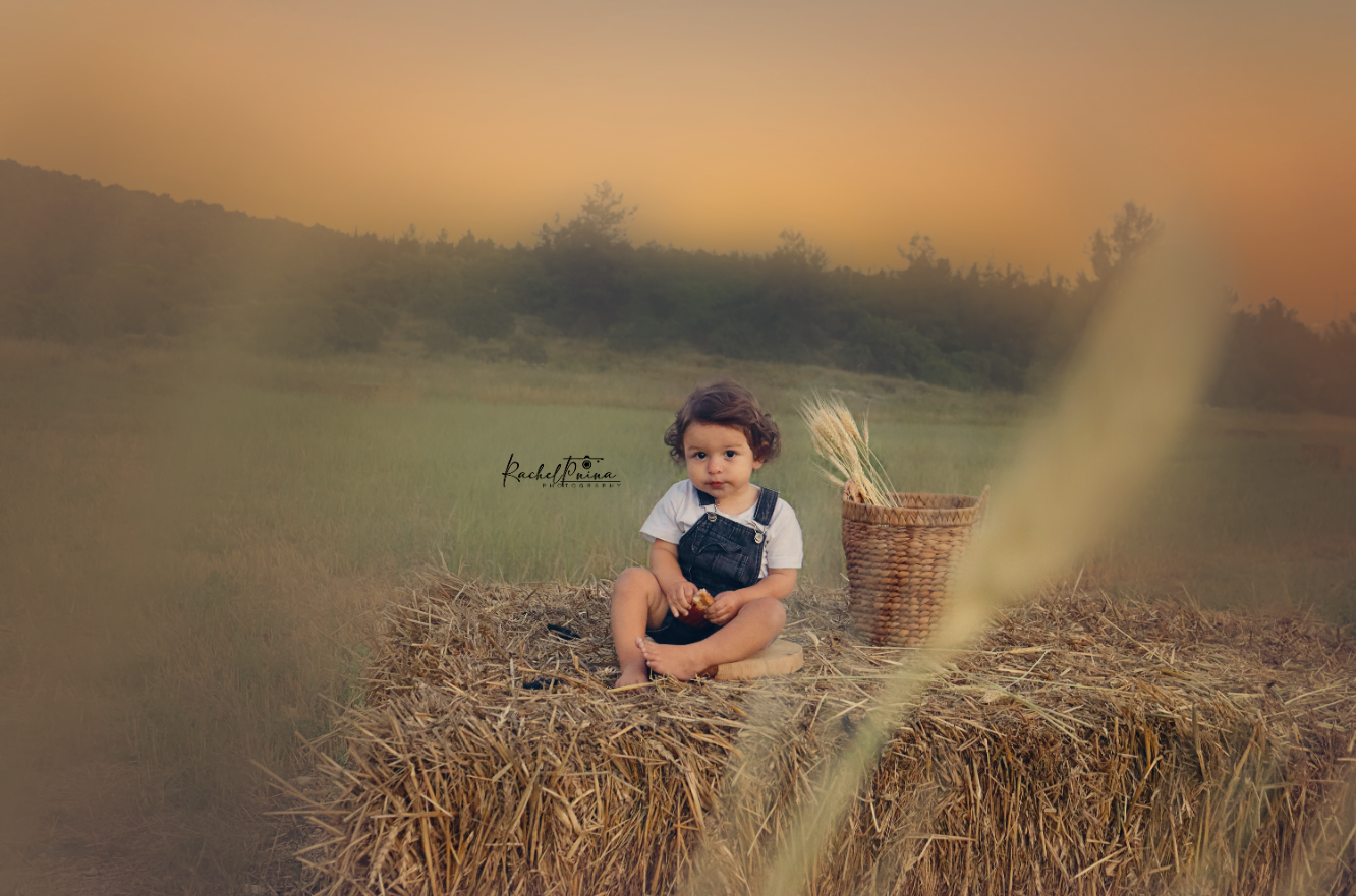 צילום מסך 2023-05-21 040833.png