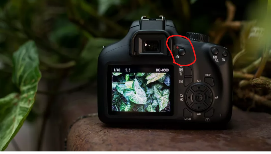 צילום מסך 2023-05-31 161931.png