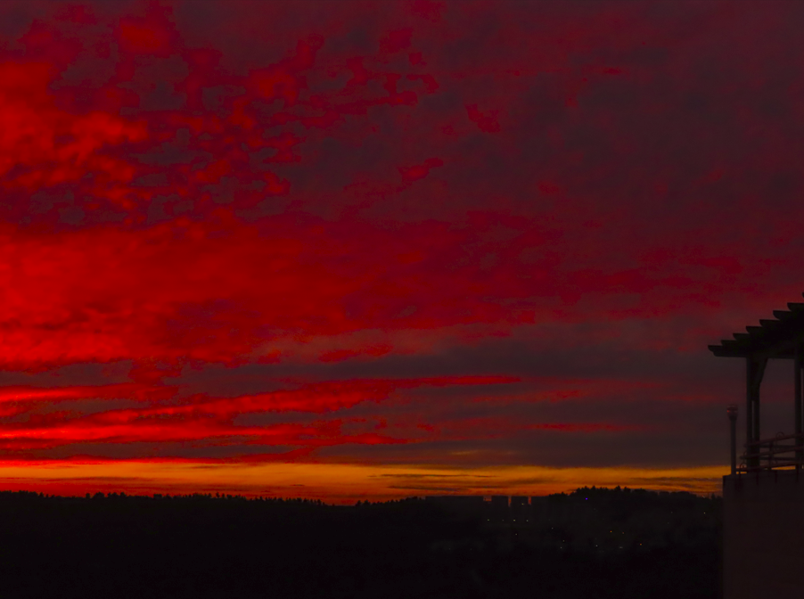 צילום מסך 2023-06-07 210451.png