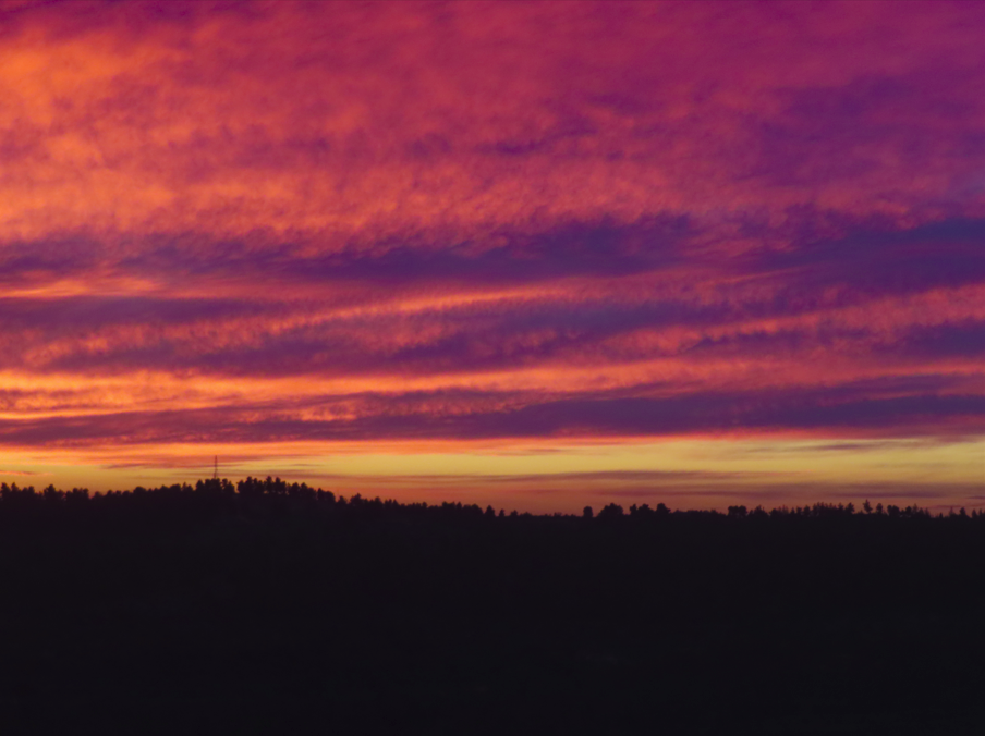 צילום מסך 2023-06-07 210608.png