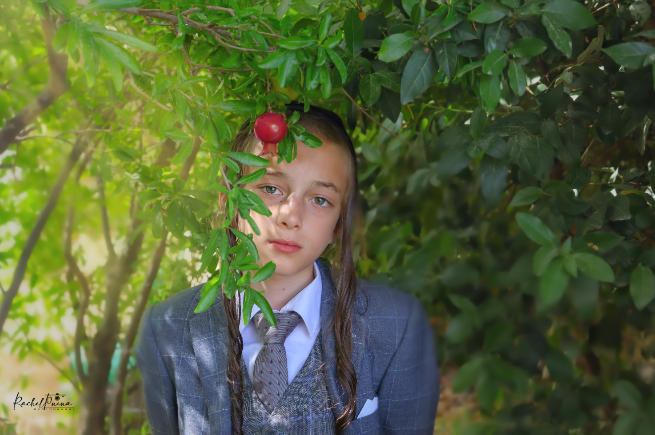 צילום מסך 2023-06-16 165851.png