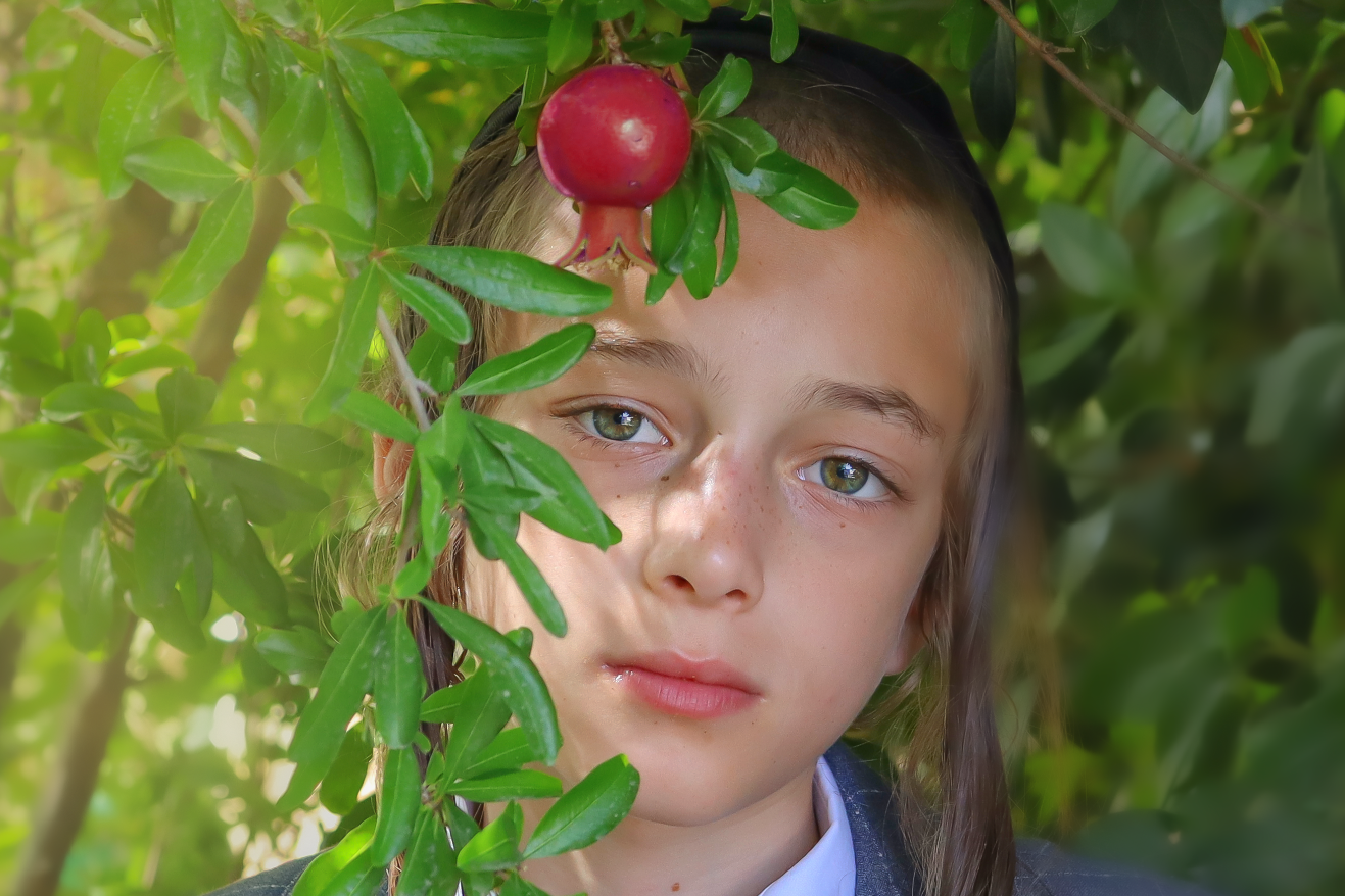 צילום מסך 2023-06-18 201917.png