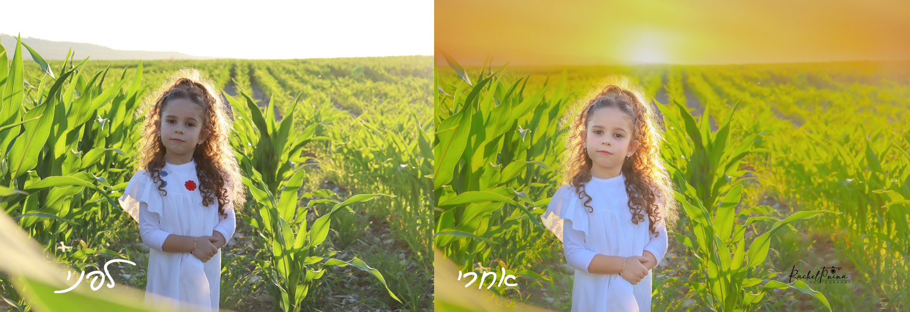 צילום מסך 2023-06-29 205348.png