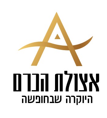 צילום מסך 2023-07-04 001505.jpg