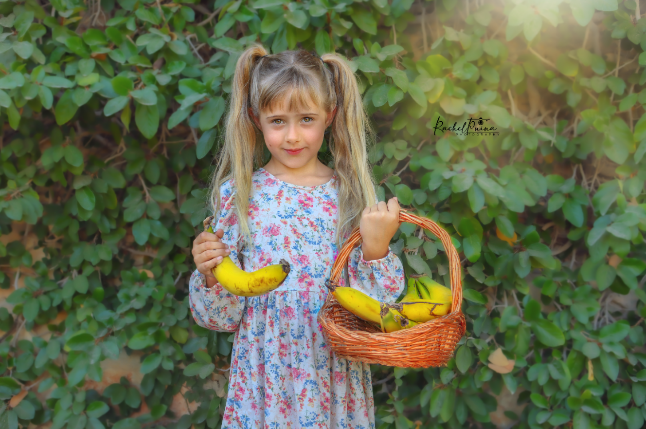 צילום מסך 2023-07-23 102139.png