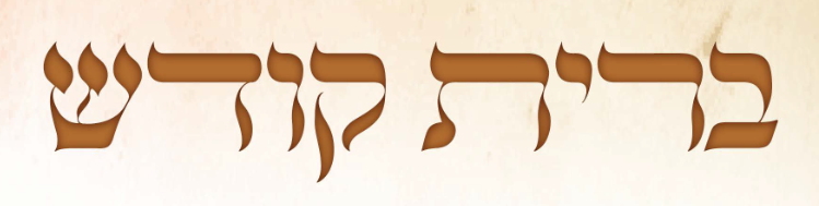 צילום מסך 2023-09-01 134132.png