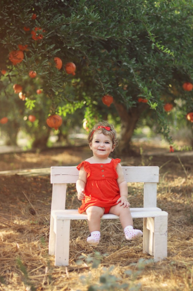 צילום מסך 2023-09-03 170715.jpg