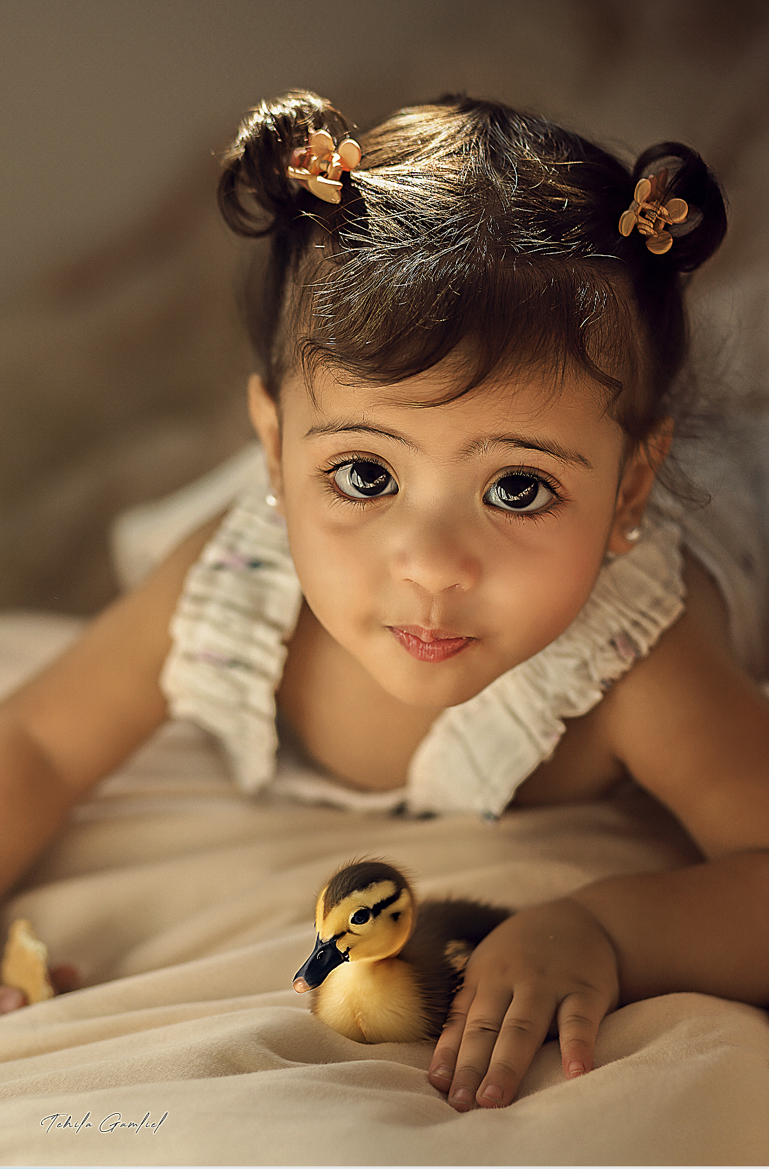 צילום מסך 2023-09-07 ב-12.10.41.png