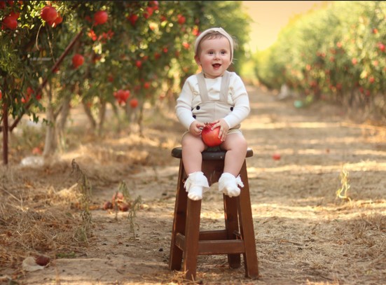 צילום מסך 2023-09-11 120218.jpg