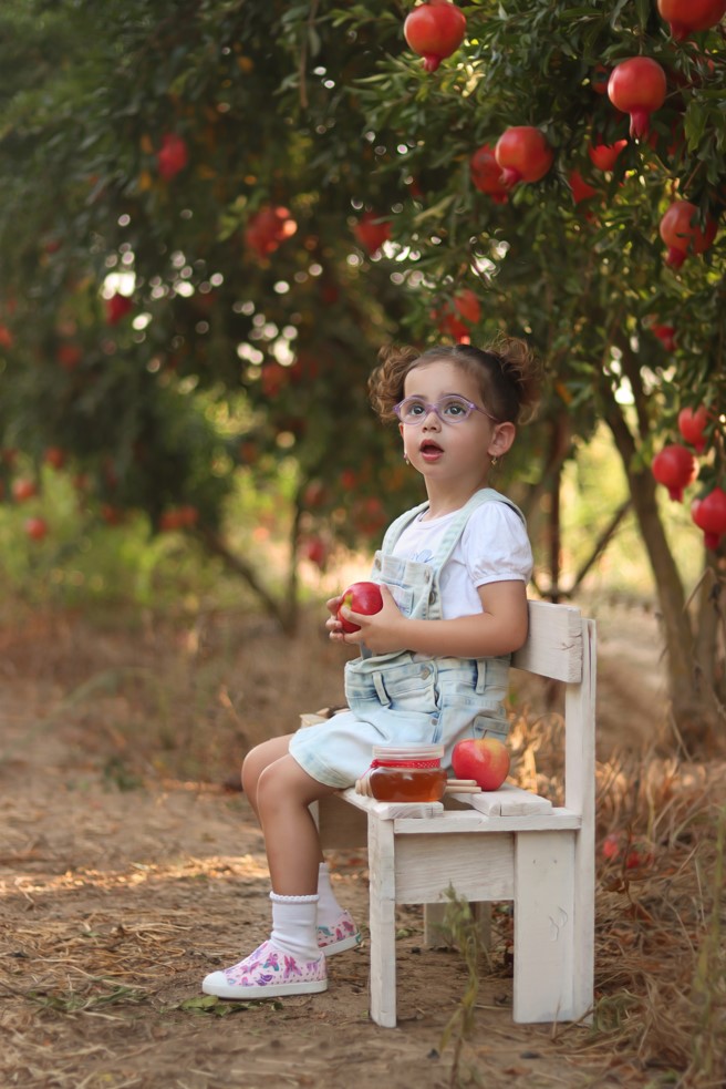 צילום מסך 2023-09-12 020159.jpg