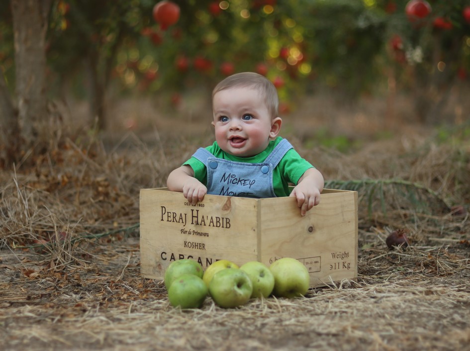 צילום מסך 2023-09-12 021533.jpg