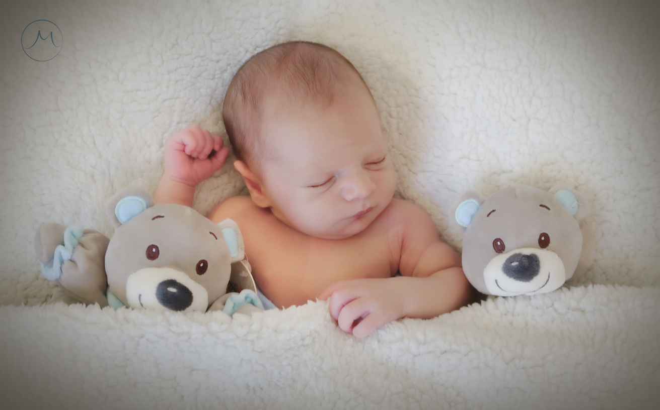 צילום מסך 2023.09.27 ב.21.24.50.png