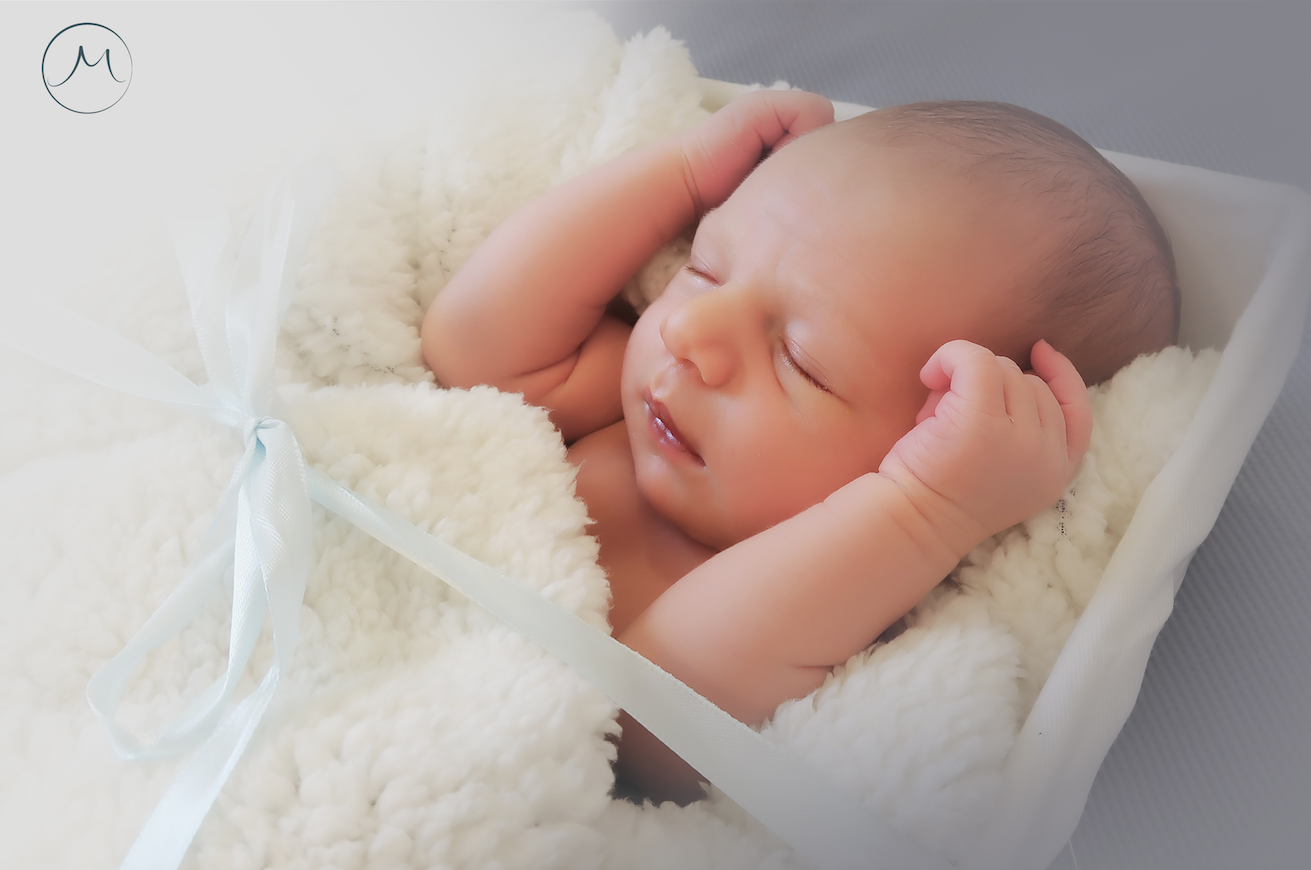 צילום מסך 2023.09.27 ב.21.25.00.png