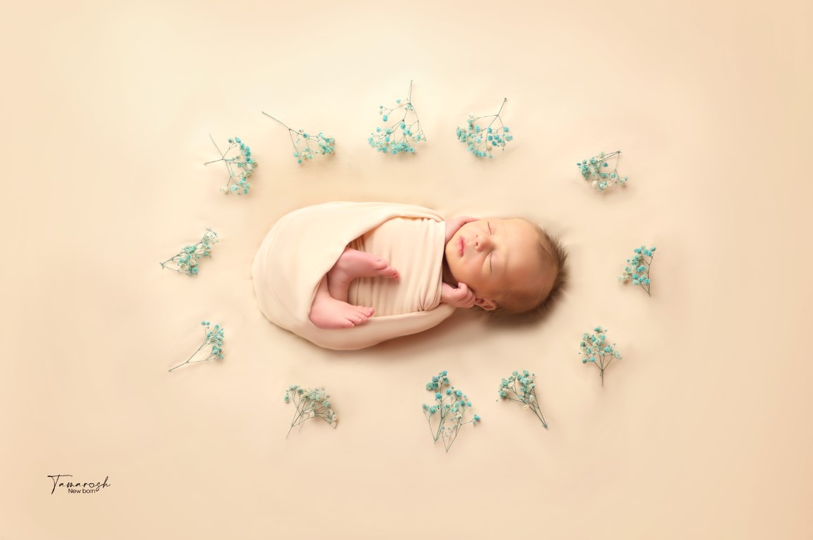 צילום מסך 2023-11-02 152833.jpg