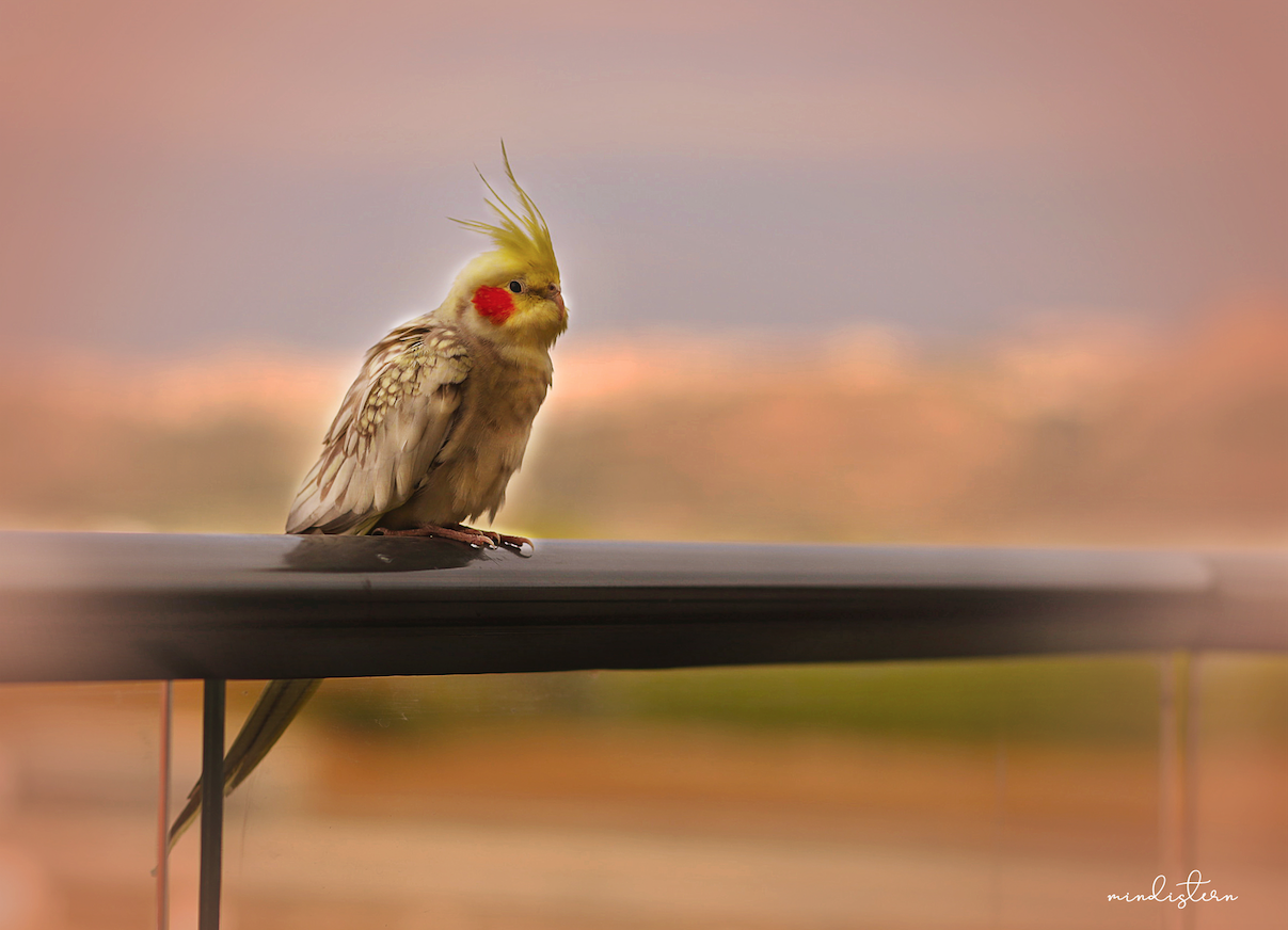 צילום מסך 2023.11.03 ב.0.06.55.png