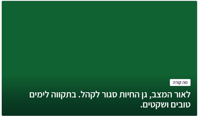 צילום מסך 2023-11-04 210818.jpg