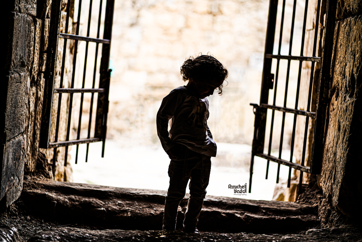 צילום מסך 2023-11-06 024905.png