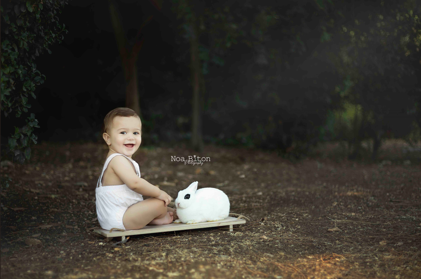 צילום מסך 2023-11-11 184322.png