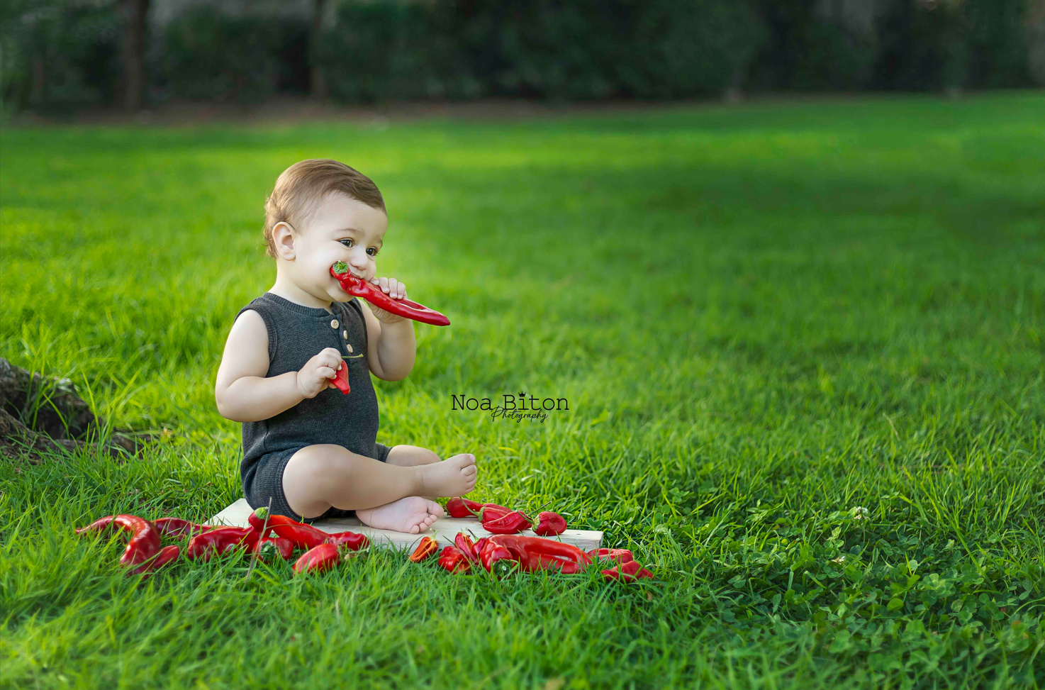 צילום מסך 2023-11-11 184352.png