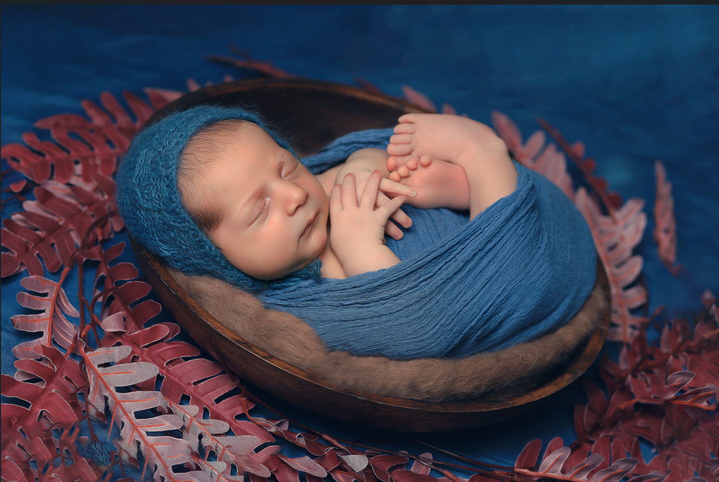 צילום מסך 2023-11-14 104457.png