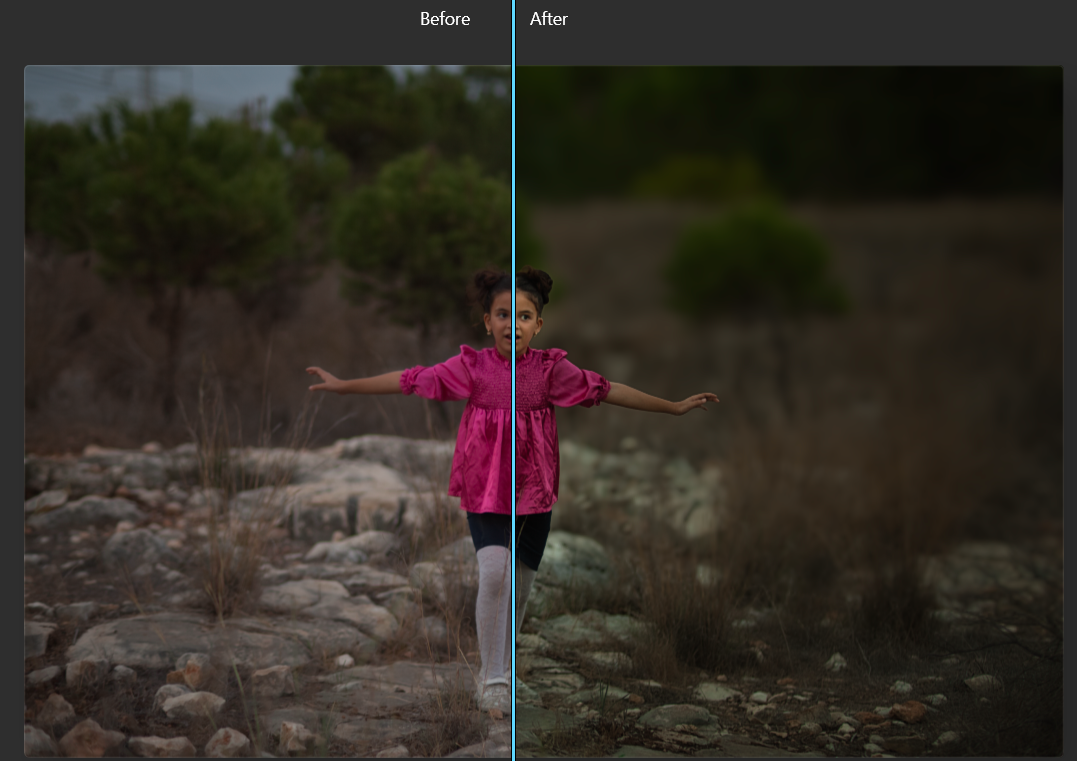 צילום מסך 2023-11-14 132104.png