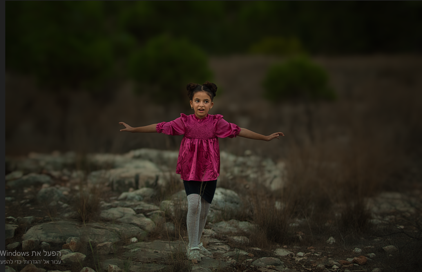 צילום מסך 2023-11-14 155833.png