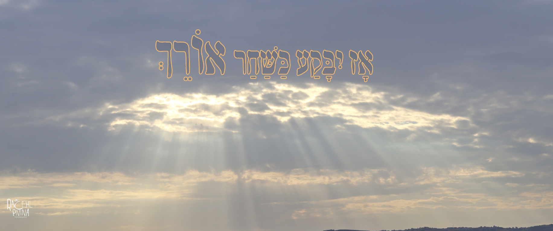 צילום מסך 2023-11-20 174637.png