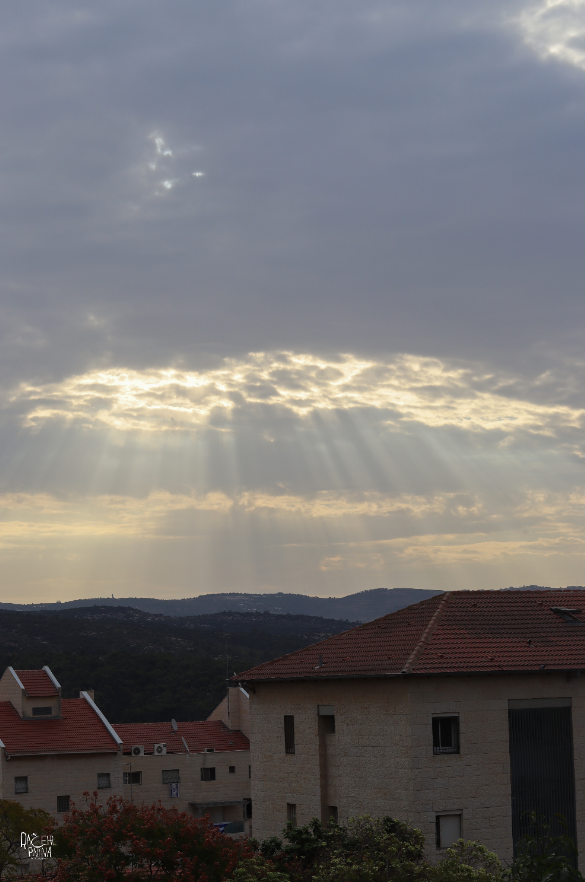 צילום מסך 2023-11-20 174653.png