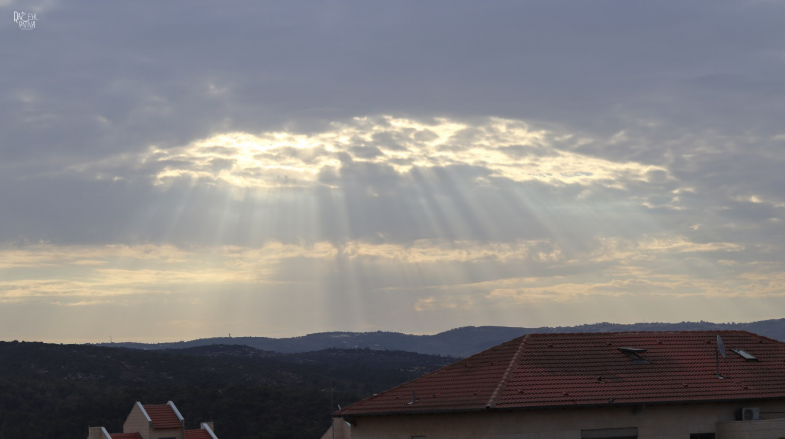 צילום מסך 2023-11-20 174708.png