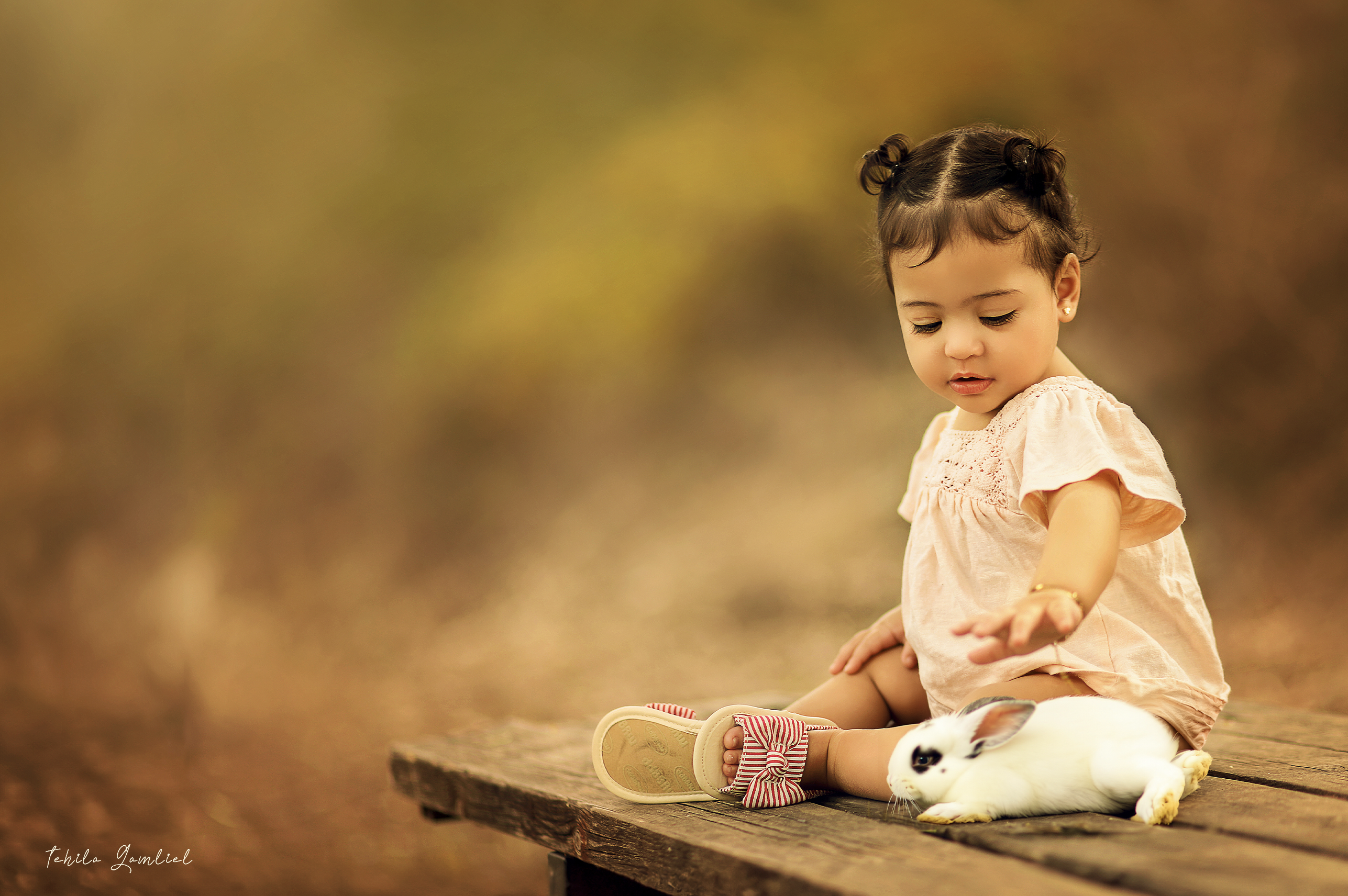 צילום מסך 2023-11-27 ב-17.29.34.png